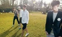 真情始终如一的O型血狮子男