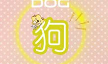 属狗期待怎样的婚姻