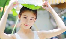 做事情最不爱努力的生肖