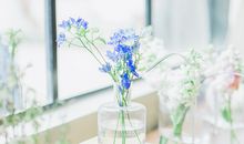 乐观开朗，这些星座浑身充满正能量