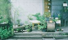 十二星座谁最文艺