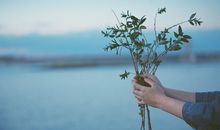 生命灵数，你的ta花心吗