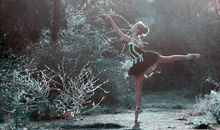 不管做任何事，都全心全意投入的生肖