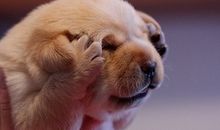 最容易有健忘症的星座