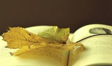 哪些生肖君最容易出口伤人