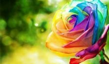 你的朋友圈超容易被人屏蔽吗