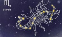 双鱼座购车指南