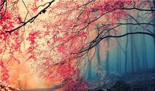 1984年属鼠的大运年是哪年