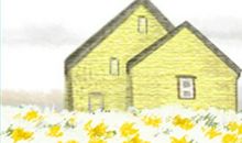 摩羯座心疼自己的瞬间