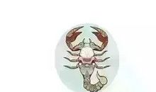 狂月每日运势2017年10月29日