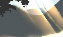 招财蟾蜍摆放的三大风水禁忌