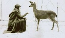 属猴ab血型女人的性格