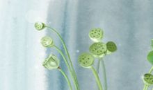 重阳节什么时候，2015年重阳节是几月几日？