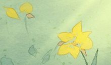 癸卯年是哪一年，癸卯年生金薄金命