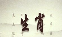 属猪如何应对生活琐事