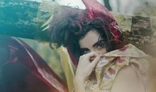 a血型的人的怪癖