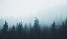 1998年属虎的大运年是哪年