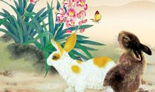 1975年属兔的人2020年运势大全及破解