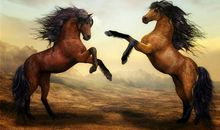 十二生肖属马的传说和来源