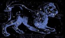 狮子座是几月几号到几月几号