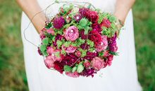 苏珊米勒2019年11月天蝎座运势完整版