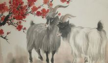 2003年属羊的人2020年运势大全及破解