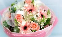 情人节送巨蟹座女孩什么花