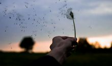 苏珊米勒2019年11月天秤座运势完整版