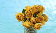 狂月今日运势2019年5月8日