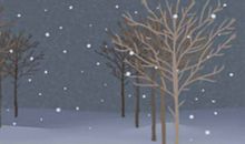 属猴射手座男生性格特点