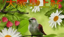 双鱼座减压秘籍