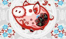 1971年出生的属猪人2020年运势