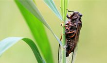 B血型君能在其他血型那学到什么