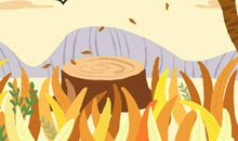 五行与天干地支的关系？相辅相成