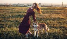 生肖狗追一个人可以坚持多久