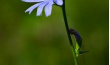 双鱼座选择什么衣饰最旺财运