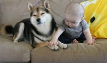 巨蟹座妈妈独到的育儿经