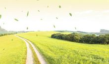 揭秘天秤座的潜在情敌