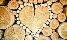 铃兰塔罗：你应该如何建设爱情小康生活？