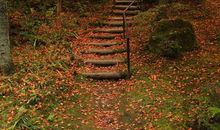 爱莎塔罗一周星座运势（2015.3.9-3.15）