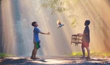 O型血人最钟情的动画片