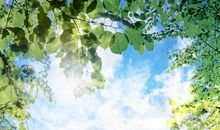 揭秘水瓶座的潜在情敌