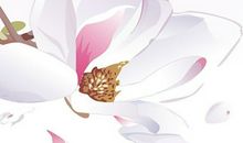 揭秘天蝎座的潜在情敌