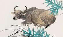 1997年属牛的人2020年运势大全及破解