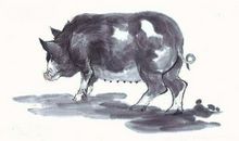 1983年属猪的人2019年运势及运程大全解析