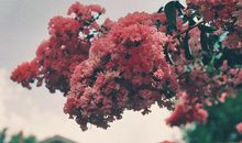 什么星座女对文艺男无法抵抗？