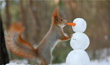 O血型君如何缓解焦虑？