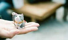 四象星座不同血型的爱情特点—B型血