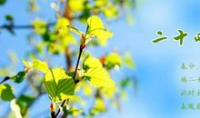 二十四节气养生大全：24节气都吃什么