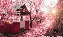 狂月每日运势2016年10月15日